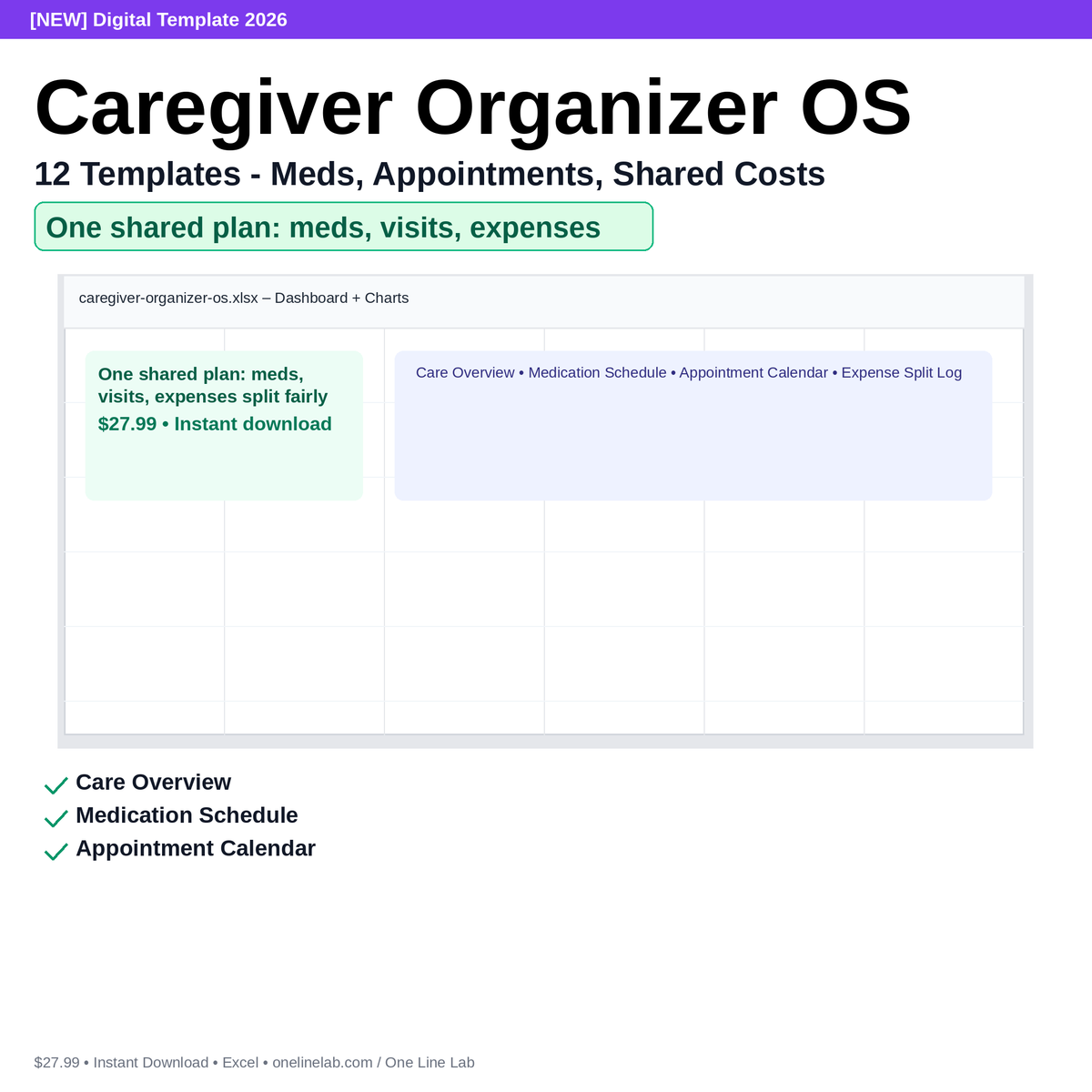 Caregiver Organizer OS - 12 Templates - Meds, Appointments, Shared Costs preview
