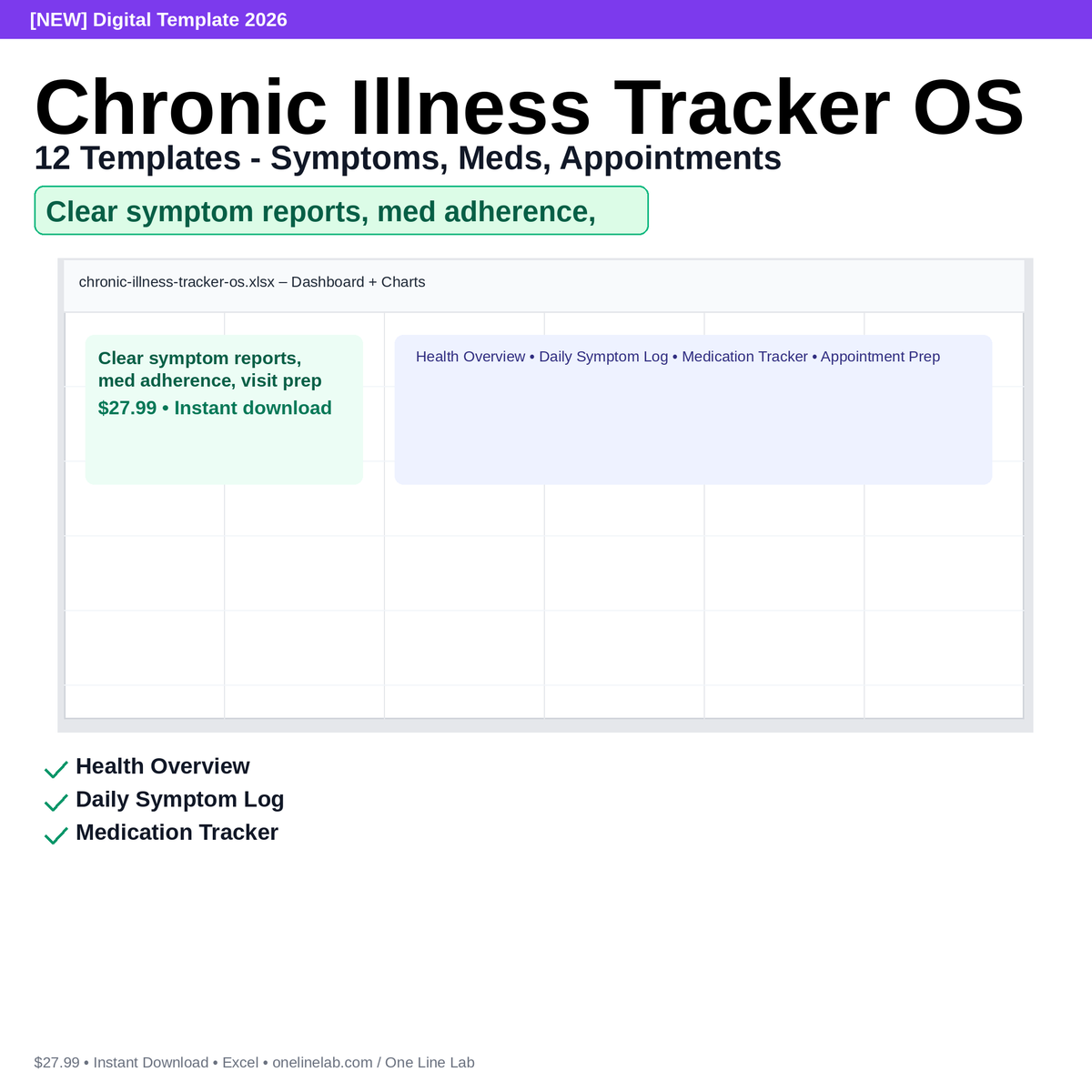 Chronic Illness Tracker OS - 12 Templates - Symptoms, Meds, Appointments preview